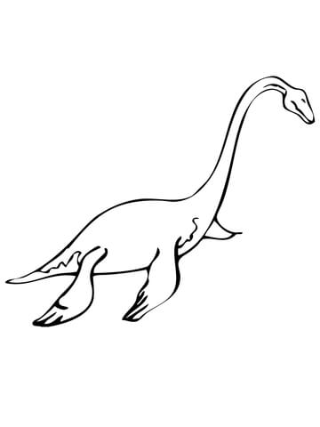 Plesiosaur Mesozoic Marine Reptile Coloring Page